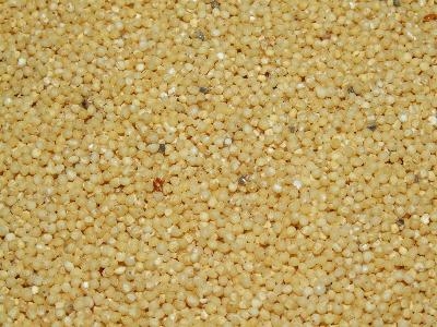 Uru na ọghọm nke millet maka ndị ọrịa mamịrị