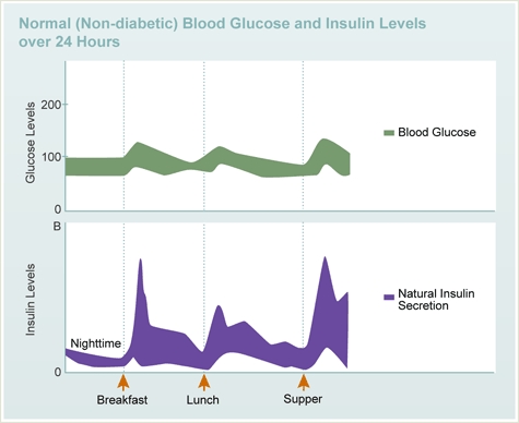 A lethale dose of insulin pro diabetics
