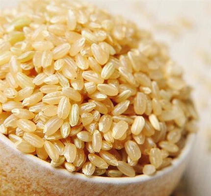 Kakvu rižu mogu da jedu dijabetičari
