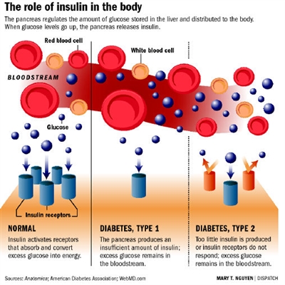 Како да се смени инсулин