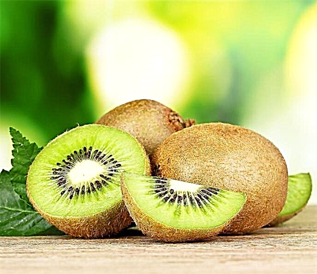 Kiwi onartzen da diabetikoen menuan