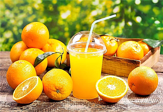 Qandli diabetga qarshi apelsinlar ruxsat etiladi