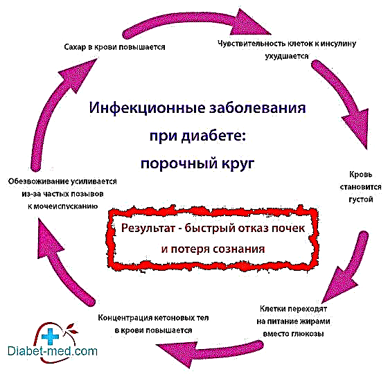 Как повысить чувствительность. Порочный круг сахарного диабета. Инфекционные заболевания при сахарном диабете. Порочный круг болезни. Инсулинорезистентность порочный круг.