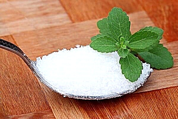 Pangaruh Sideener sareng Harm of Sweeteners