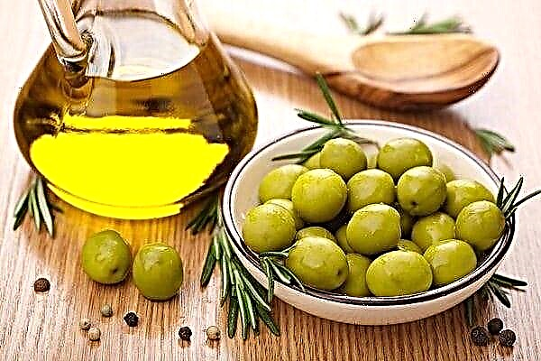 Wéi huelen Olivenueleg fir Cholesterol ze senken?