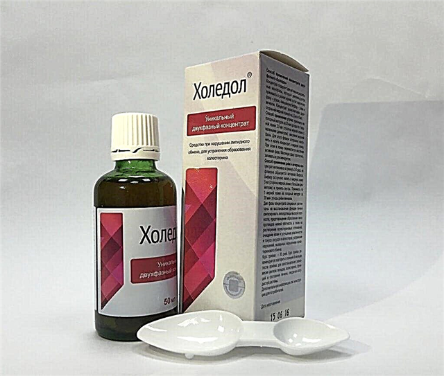 Cholidol - အဆင့်နှစ်ဆင့်လက်စထရောဆေး၊ ညွှန်ကြားချက်များနှင့် analog များ