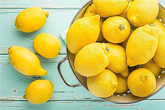 Limun povećava ili smanjuje pritisak
