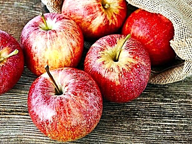 کیا سیب کولیسٹرول کی مدد کرتے ہیں؟