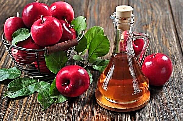 Cara njupuk cuka apel apel kanggo kolesterol?