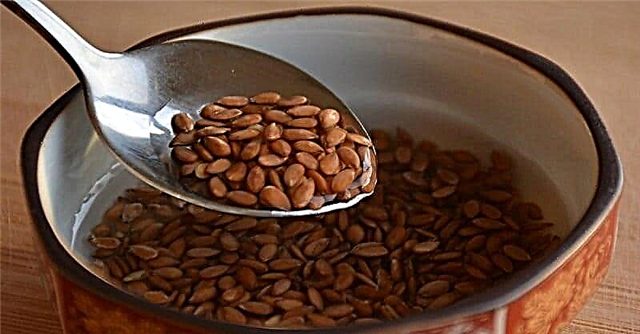 Como tomar sementes de liño para baixar o colesterol?