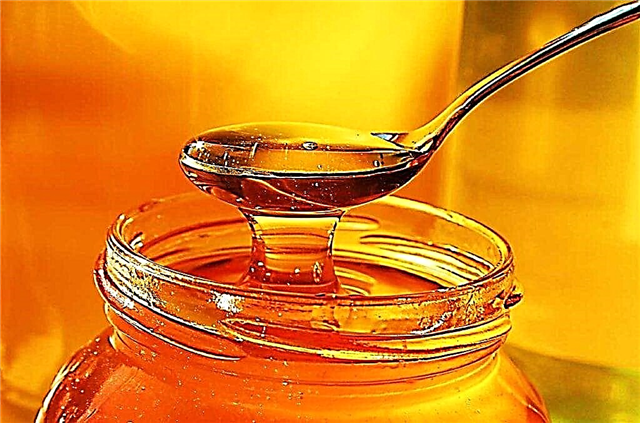 Како да земете цимет со мед за да го намали холестеролот?