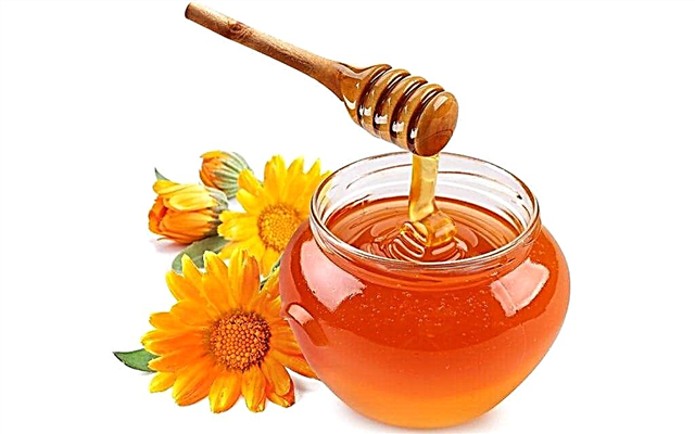 A përmban mjalti fruktozë?
