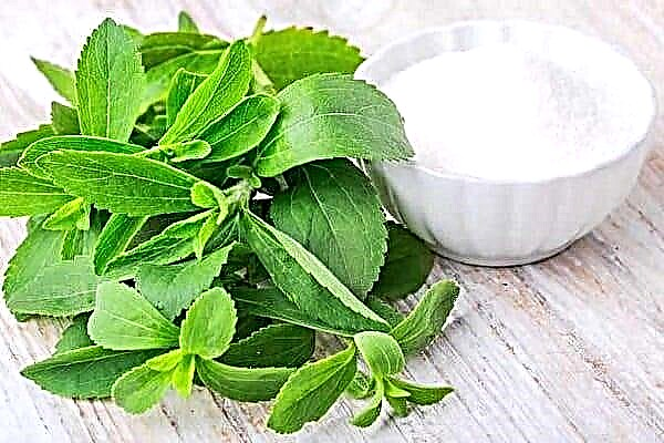 Stevia: Таттуураамдын азыктык мааниси