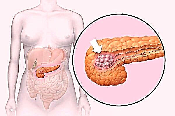 Ang function sa pancreas exocrine: unsa kini?