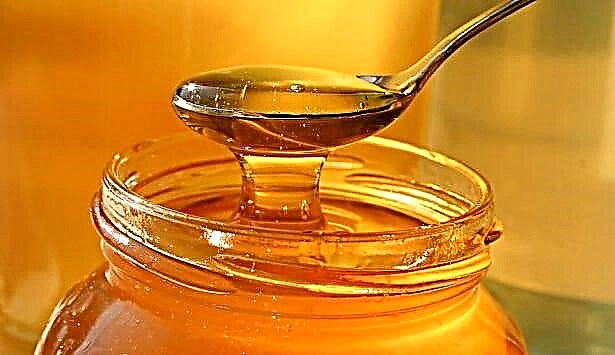 A është e mundur të mjaltit kur humbni peshë në vend të sheqerit?