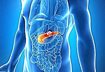 Pancreatoduodenal ဆိုင်ရာပါရဂူကျမ်းပြုစုကိုထိန်းသိမ်းစောင့်ရှောက်ပါကဘာလဲ။