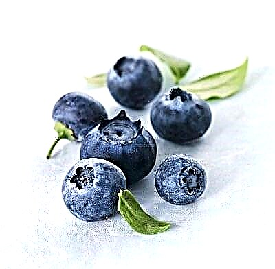 ຂ້ອຍສາມາດກິນ blueberries ກັບໂຣກ pancreatitis ໄດ້ບໍ?