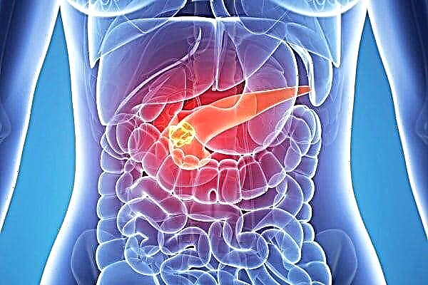 Kepiye pankreas ing manungsa: lokasi lan anatomi