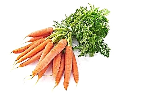 Kan wortels met pankreatitis hê: resepte vir kapokaartappels en sap