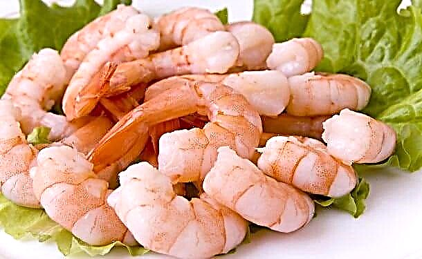 Ngingayidla i-shrimp ye-pancreatitis?