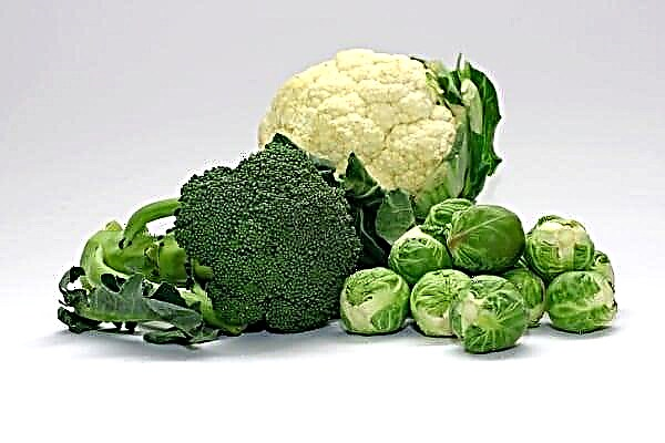 Kann ech Broccoli mat Pankreatitis iessen?