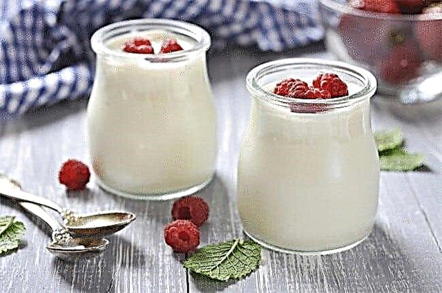 Apa bisa mangan yogurt kanthi pankreatitis?