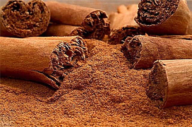 Enwere ike iji cinnamon mee ihe na pancreatitis?
