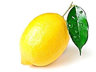 Maaari o hindi lemon na may pancreatic pancreatitis?