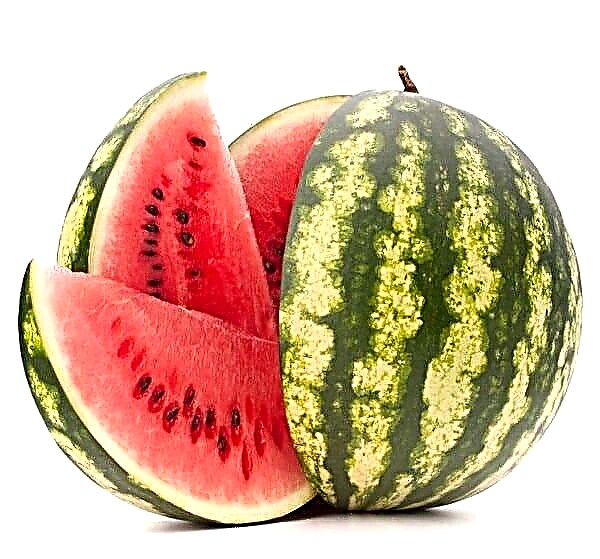 Ass et méiglech, Waassermeloun a Melon mat Pankreatitis?
