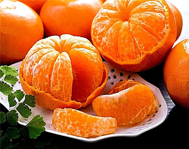 Naha tangerines tiasa dianggo pikeun pancreatitis?