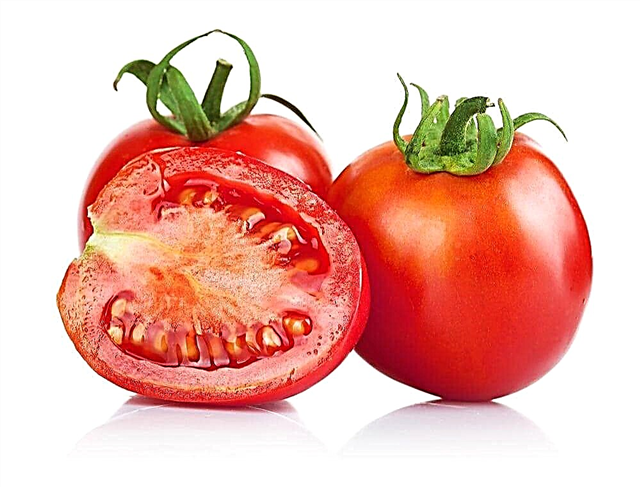 Ĉu mi povas manĝi tomatojn kun pankreata pancreatito?