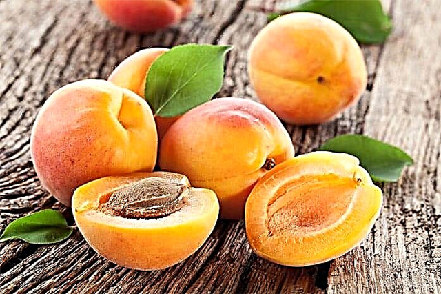 Naha mungkin dahar aprikot sareng aprikot garing sareng pankreatitis?