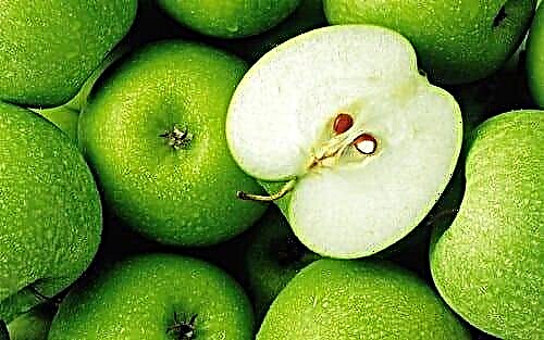 Kan ek appels met pankreatiese pankreatitis eet?