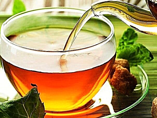 د پانقراسیتس څخه د خانقاه ګاسټریک چای ترکیب: چای څنګه وخورئ؟