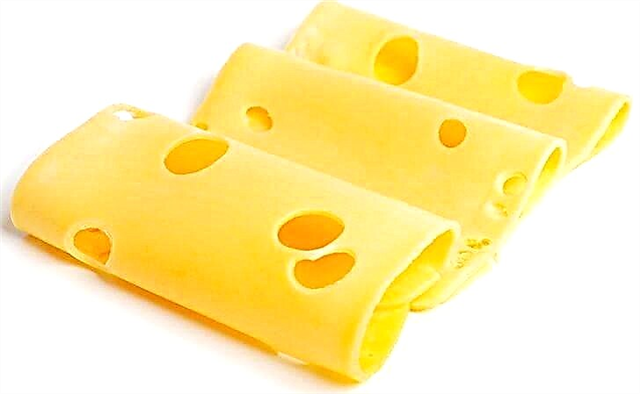Какво сирење може да се јаде со панкреатитис: обработено, Адиге, моцарела