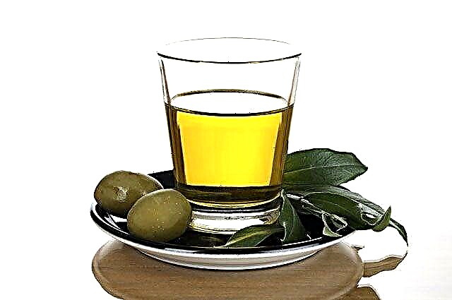 Kia oleo uzeblas por pancreatito: sunfloro, olivo, mustardo?