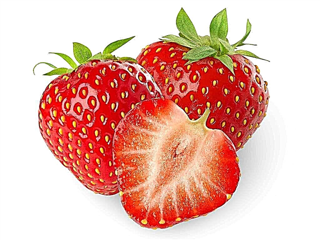 Ṣe o ṣee ṣe lati jẹun awọn strawberries pẹlu ipọnju ipọnju?