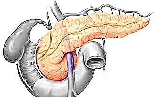 Структурата и функцијата на човечкиот панкреас