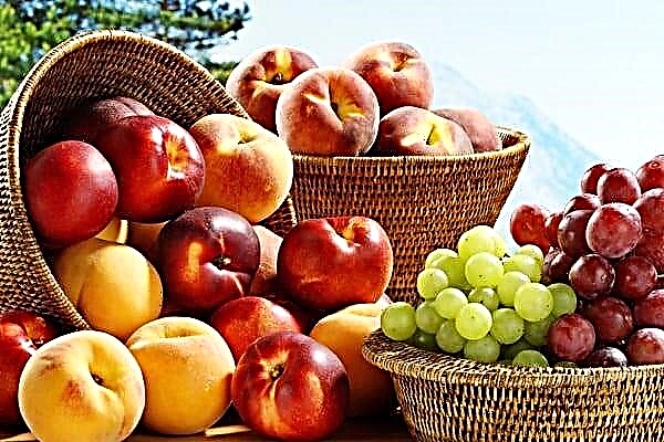 Cilat fruta dhe manaferra mund të ha me diabet tip 2?