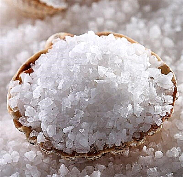 آیا نمک با دیابت نوع 2 امکان پذیر است؟