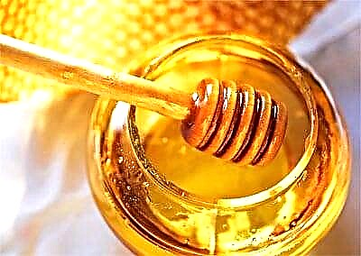 Дали е можно да се јаде мед со висок шеќер во крвта?