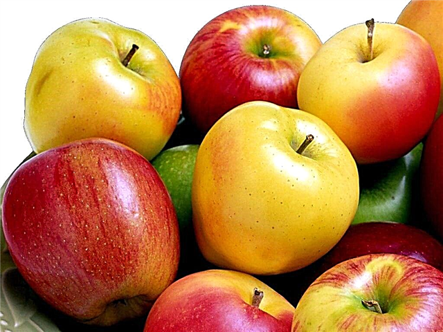 Kann ech Äppel mat Typ 2 Diabetis iessen?