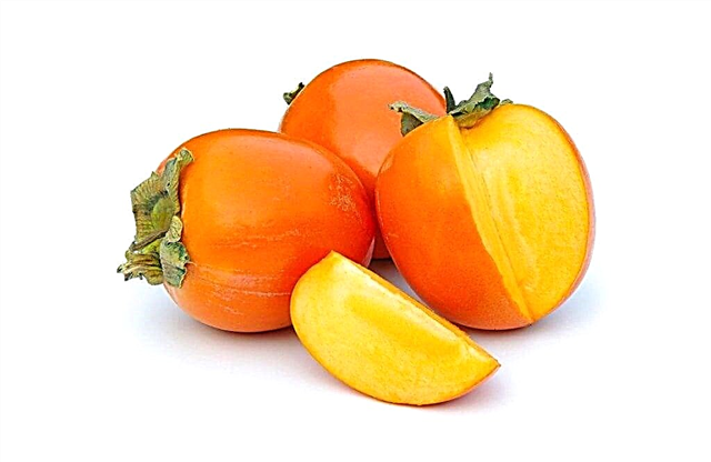 Cov neeg muaj ntshav qab zib puas tuaj yeem noj persimmons?