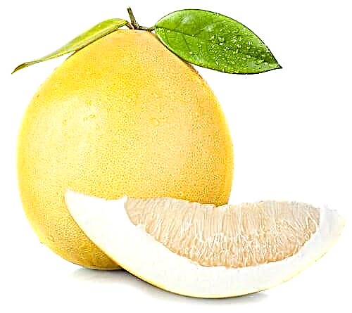 Froito pomelo: propiedades beneficiosas e danos na diabetes