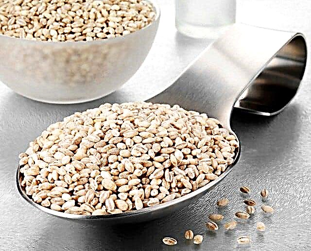 Maaari bang kainin ang barley para sa type 2 diabetes?