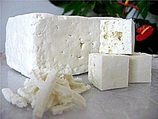 کیا ٹائپ 2 ذیابیطس کے ساتھ فیٹہ پنیر کھانا ممکن ہے؟