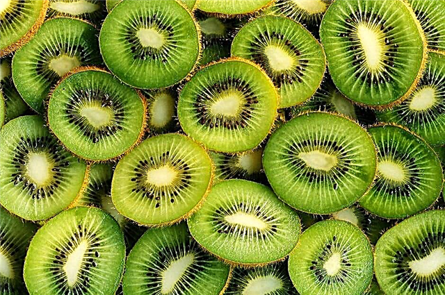 ດັດຊະນີ Kiwi Glycemic ແລະຜົນກະທົບນ້ ຳ ຕານໃນເລືອດຂອງຜະລິດຕະພັນ
