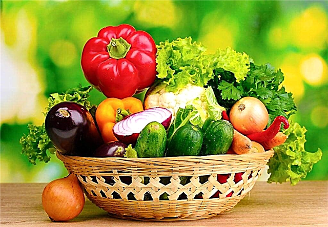 Koje voće i povrće mogu jesti kod dijabetesa tipa 2?