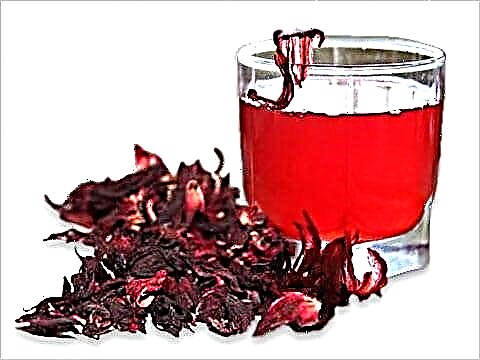 Čaj od hibiskusa za dijabetes: korisna svojstva za smanjenje šećera