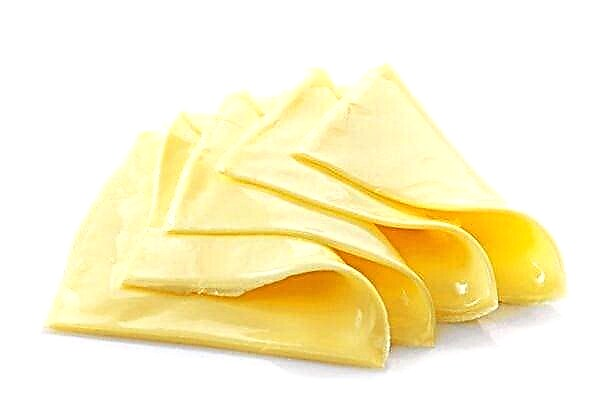 Watter soort kaas kan ek saam met tipe 2-diabetes eet?